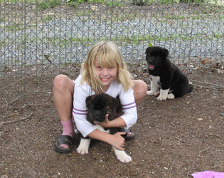 TT-2006-Kayla-Puppies.gif